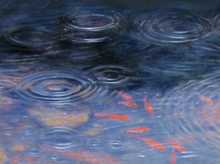 Goldfish in the Rain